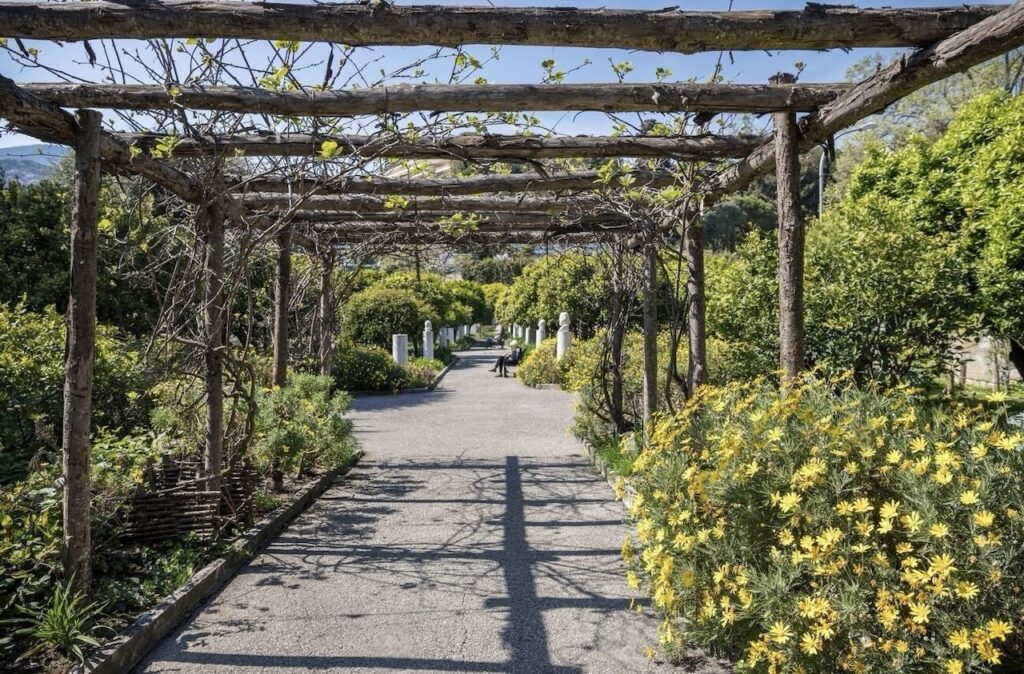Things to do in Menton: A pergola with budding vines lines a tranquil garden path, flanked by vibrant yellow flowers and lush greenery, leading towards a serene sitting area under the warm daylight.