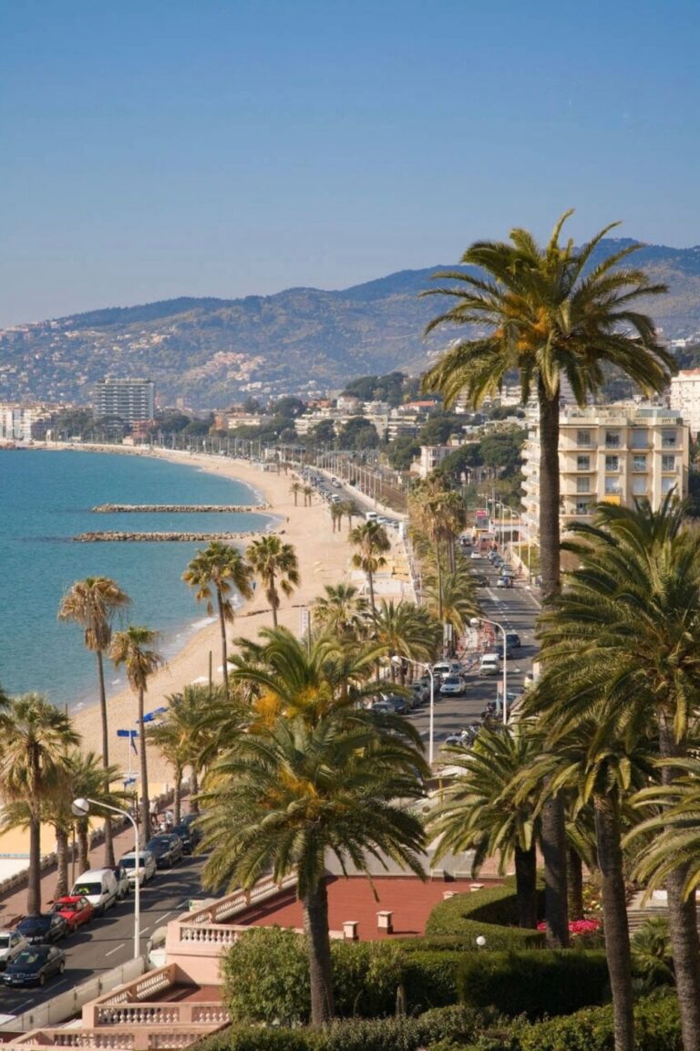 What to do in Cannes, what to see, what to visit