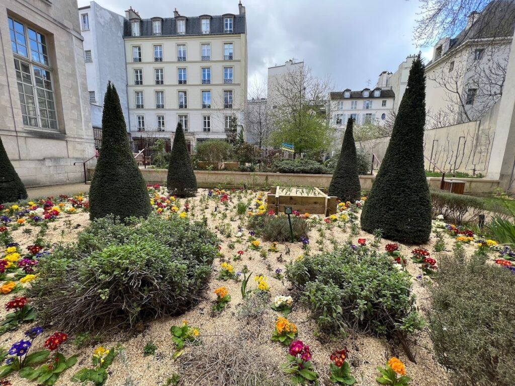 A serene garden view at Jardin des Rosiers - Joseph Migneret in Paris, featuring an array of colorful pansies interspersed with neatly trimmed conical topiaries, set against the backdrop of classic Parisian architecture.