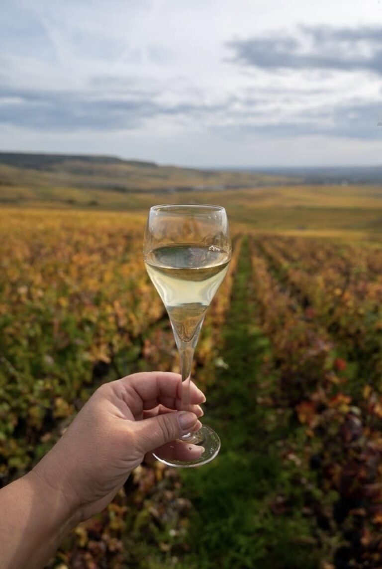 Best Champagne Tours in Reims in 2024