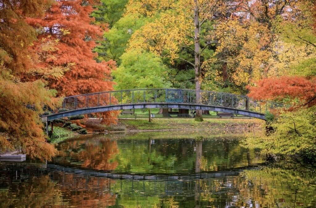 A serene autumn day at the Public Garden of Bordeaux, where a wrought-iron bridge arches over a reflective pond surrounded by a tapestry of orange and yellow foliage, offering a peaceful retreat and a stunning visual experience among the things to do in Bordeaux.