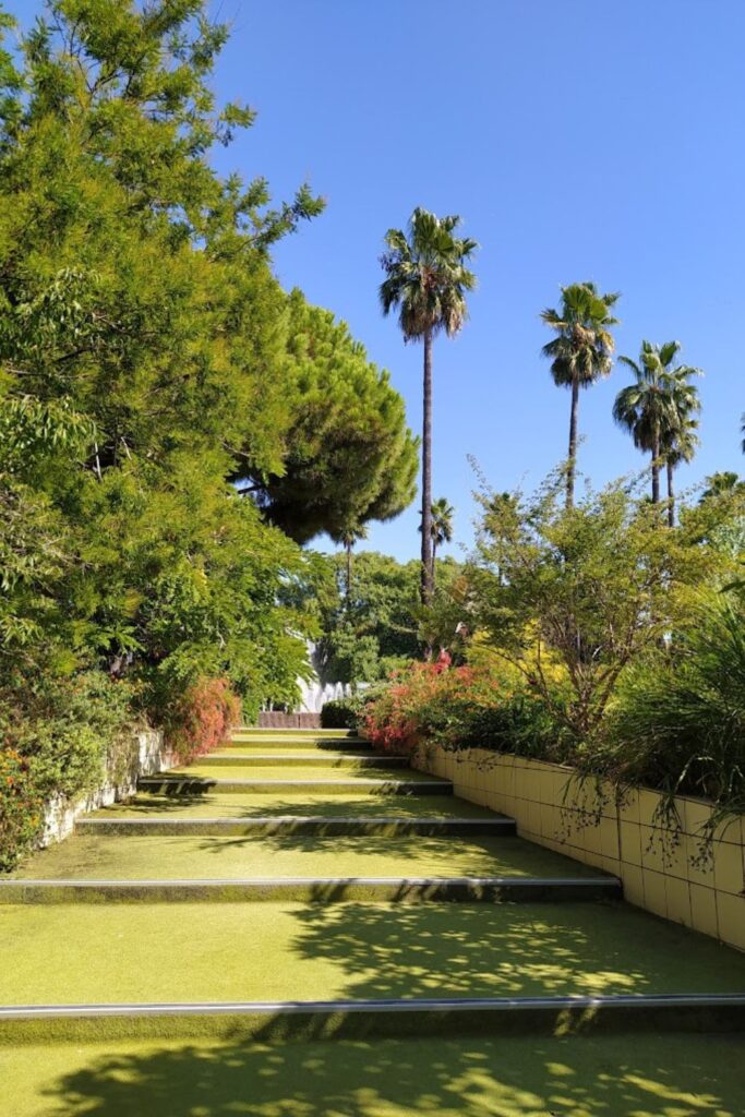 Lush terraced gardens in Parc Phoenix, Nice, with neatly trimmed hedges, vibrant flower beds, and a variety of trees under a clear blue sky. This peaceful setting is ideal for a feature in a Nice travel guide, highlighting the city's dedication to green spaces and natural beauty.