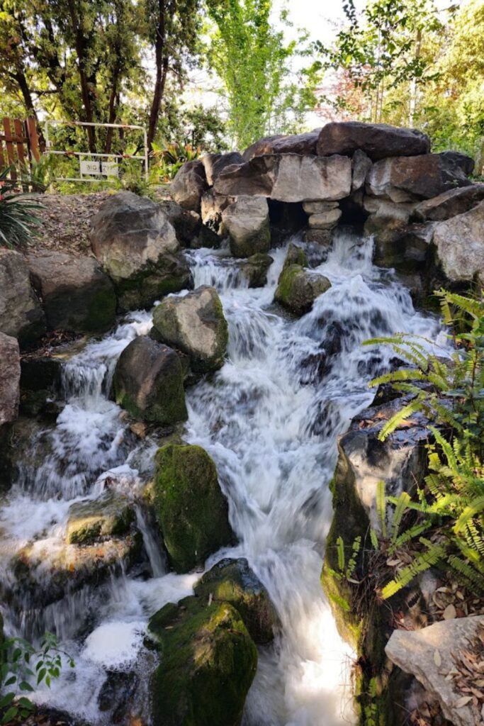A serene cascade in Parc Phoenix, Nice, flows amid lush greenery, creating a tranquil retreat in the city. This natural spectacle adds a touch of peacefulness to a Nice travel guide, inviting visitors to enjoy a moment of calm within the vibrant city life.