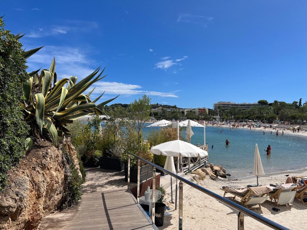 The scenic Royal Beachs Club in Antibes is captured on a sunny day, showing vacationers on sandy shores and in shallow waters, with white umbrellas dotting the beachfront, and a striking agave plant framing the left side against a vibrant blue sky.