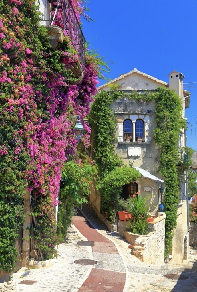 A cobblestone pathway in Saint-Paul-de-Vence, framed by old stone walls lavishly adorned with vibrant pink bougainvillea. This enchanting scene captures the romantic atmosphere of one of the must-visit French Riviera cities.
