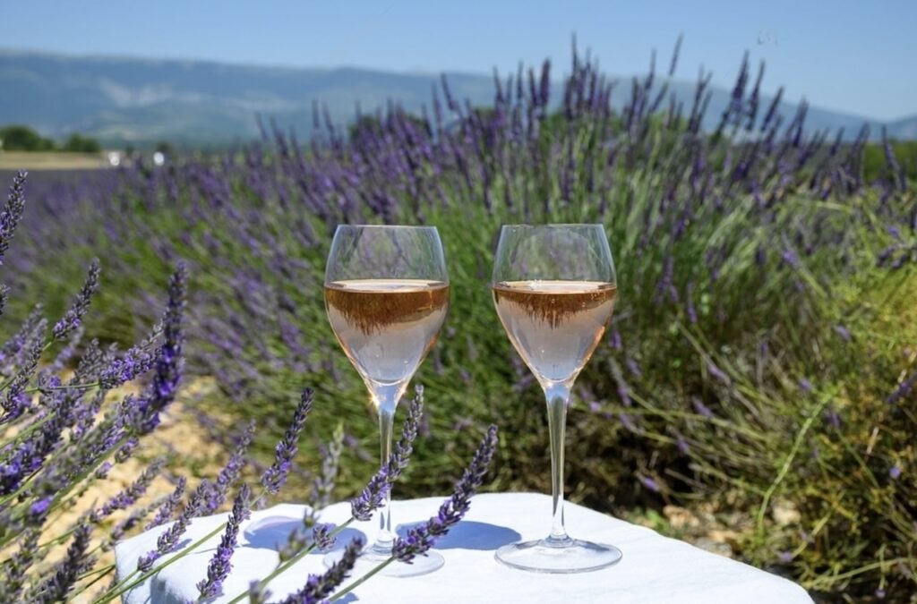 Two glasses of rosé wine from Côtes de Provence stand on a white tablecloth, set against the serene backdrop of a blooming lavender field, reflecting the region's culinary delights as part of the gastronomic things to do in Marseille.