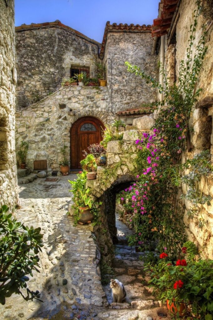 Charming alleyway in the medieval village of Peillon, a hidden gem for the best day trips from Nice, featuring rustic stone buildings adorned with colorful potted flowers and a curious cat basking in the sunlight.