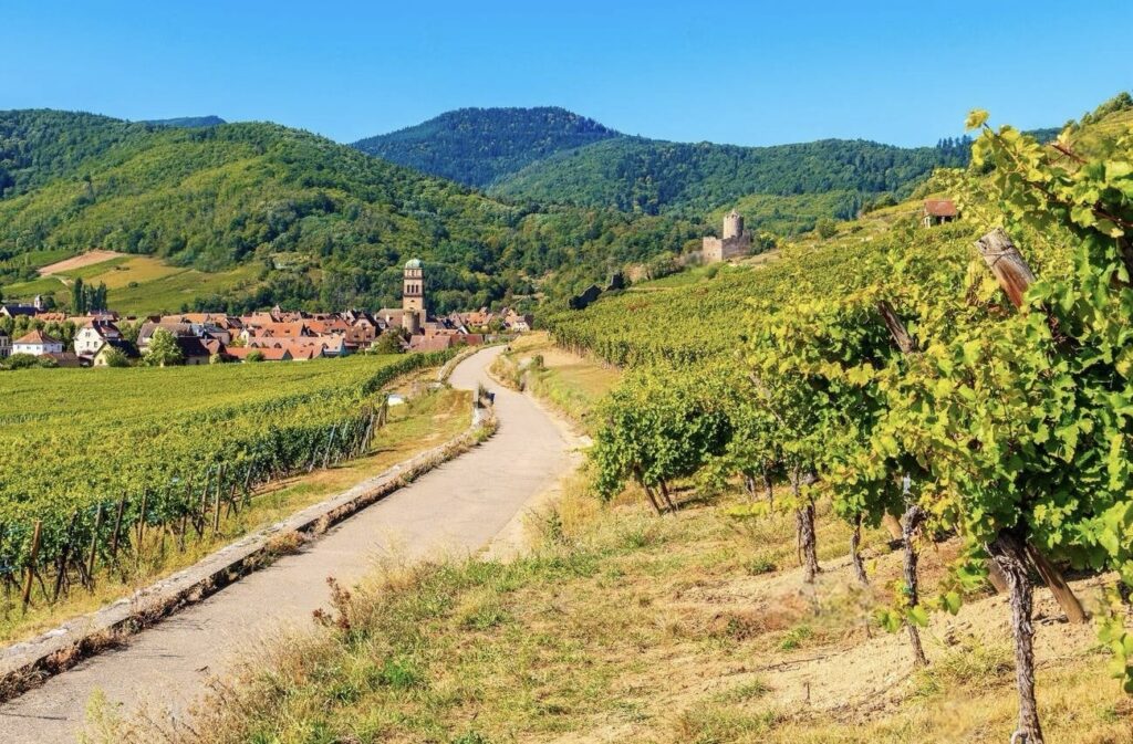 Places to Visit in Alsace