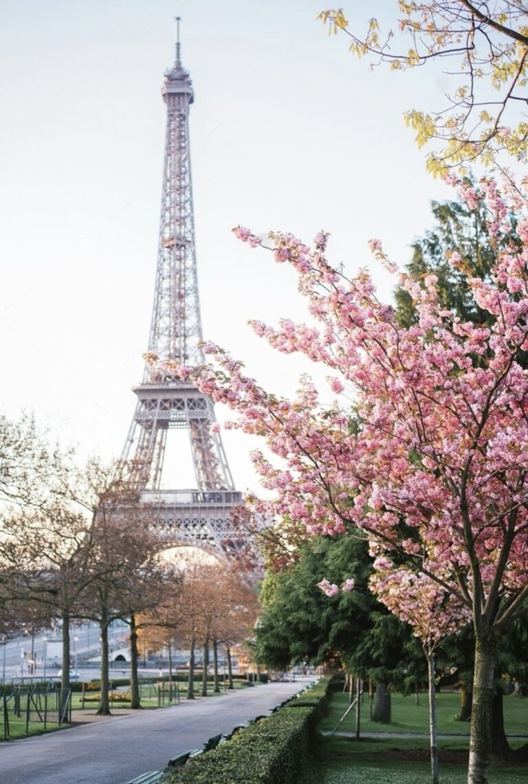 springtime in paris